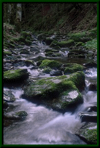 Descrizione: Descrizione: fiume