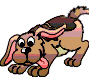 cane 10