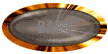 animal02.gif